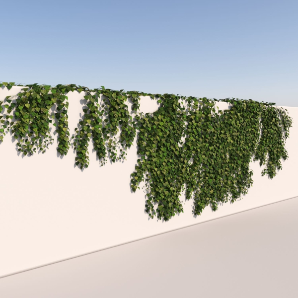 Realistic High Poly Hanging Ivy
