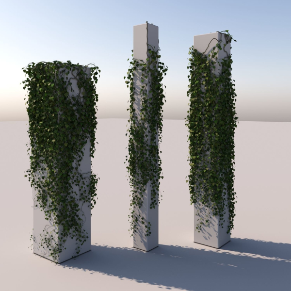 Realistic High Poly Hanging Ivy