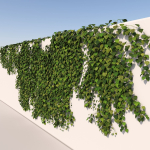 Realistic High Poly Hanging Ivy