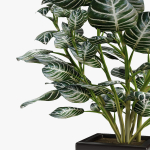 Realistic Plant Garden