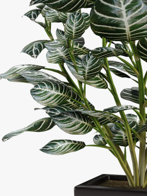 realistic-plant-garden-3d-model-max-obj