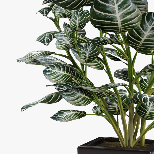 Realistic Plant Garden