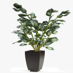 Realistic Plant Garden