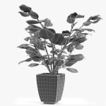 Realistic Plant Garden