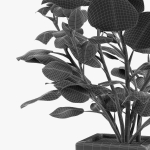 Realistic Plant Garden