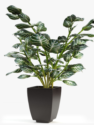 Realistic Plant Garden