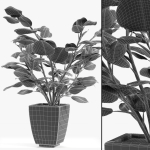 Realistic Plant Garden