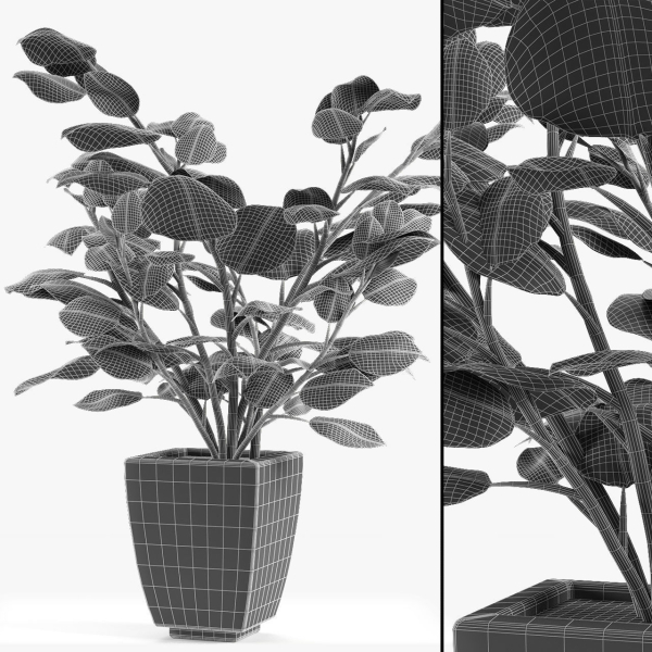 Realistic Plant Garden