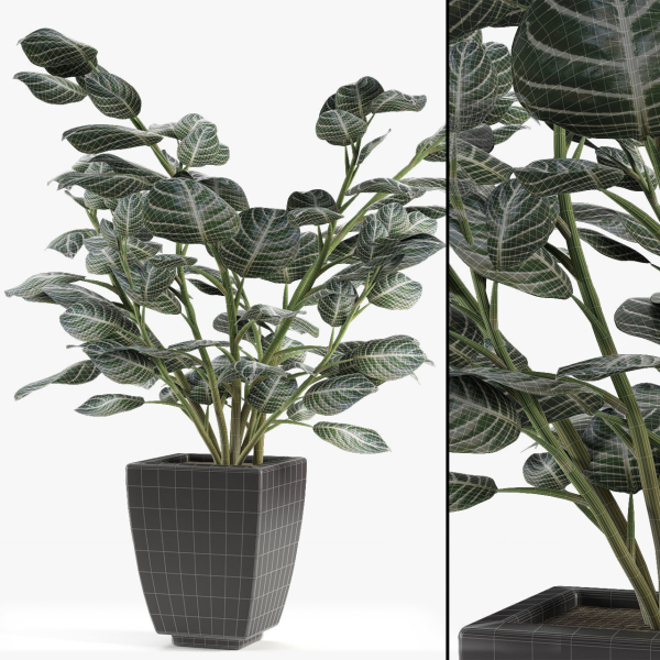 Realistic Plant Garden