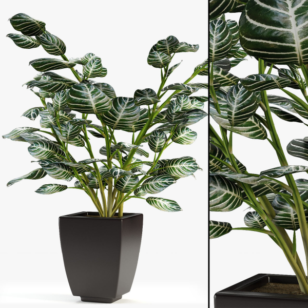 Realistic Plant Garden