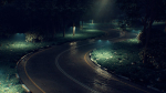 Realistic road winding in forest