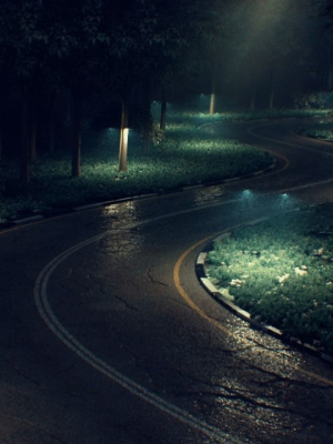 realistic-road-3d-model-max-obj-mtl-3ds-fbx