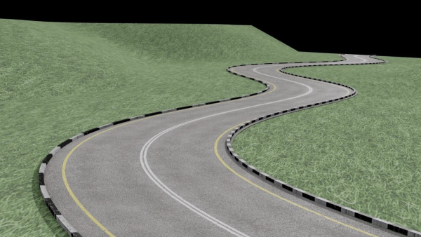 Realistic road winding in forest