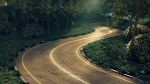 Realistic road winding in forest