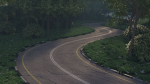 Realistic road winding in forest