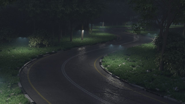 Realistic road winding in forest