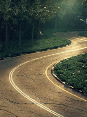 Realistic road winding in forest