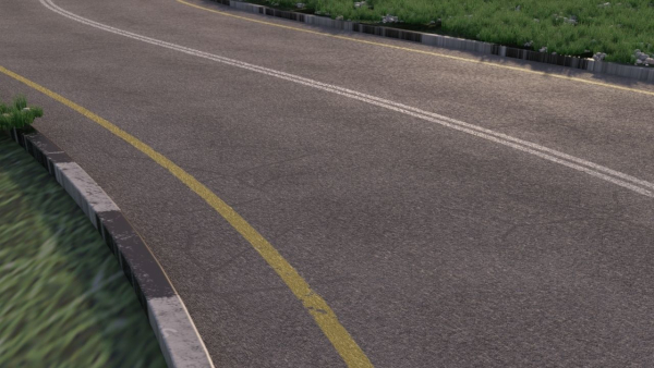 Realistic road winding in forest