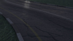 Realistic road winding in forest