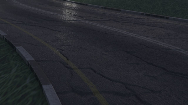 Realistic road winding in forest