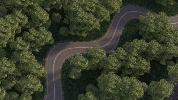 Realistic road winding in forest