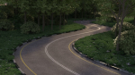 Realistic road winding in forest