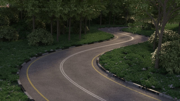 Realistic road winding in forest