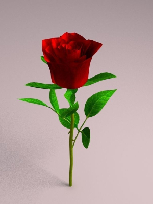 realistic-rose-3d-model-obj-fbx-c4d-lwo-lw-lws-ma-mb-mtl