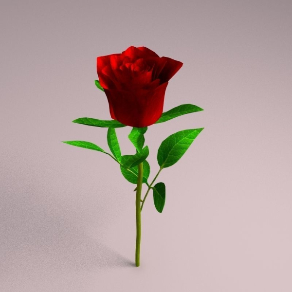 Realistic Rose