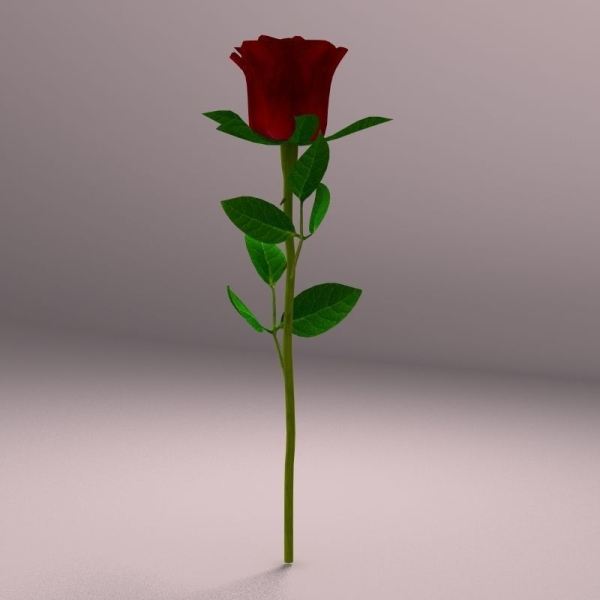 Realistic Rose