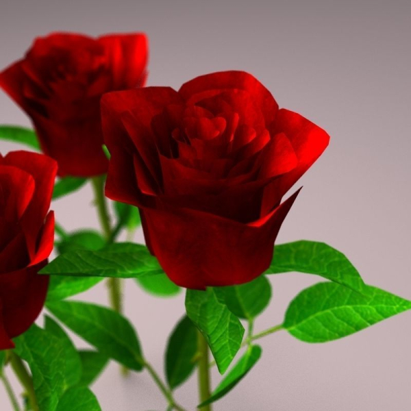Realistic Rose