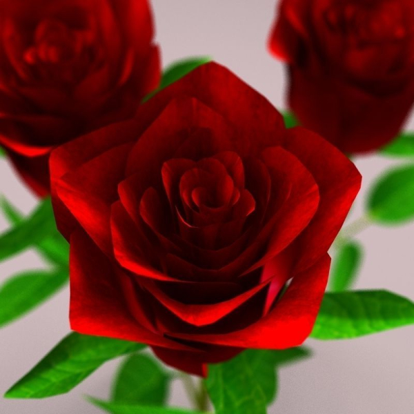 Realistic Rose