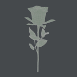 Realistic Rose