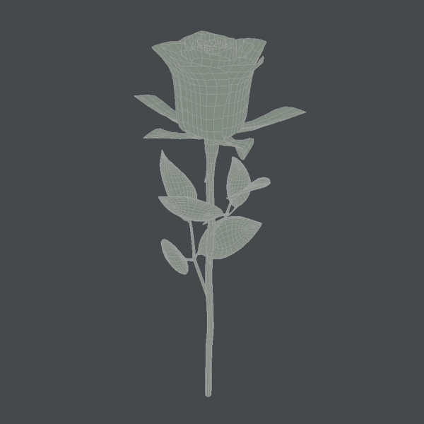 Realistic Rose