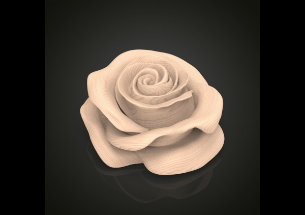 Realistic rose flower