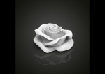 Realistic rose flower