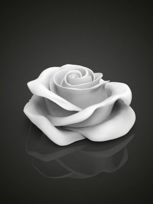 realistic-rose-flower-3d-model-7df9866894