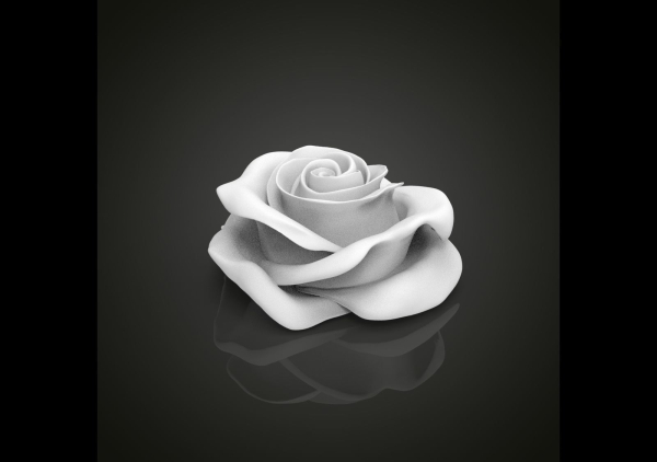 Realistic rose flower