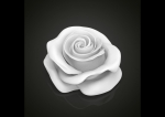Realistic rose flower