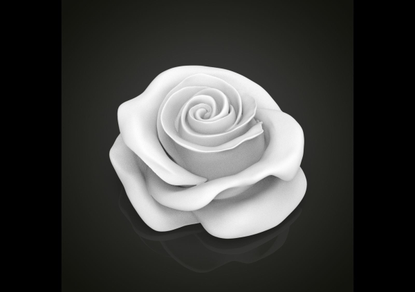 Realistic rose flower