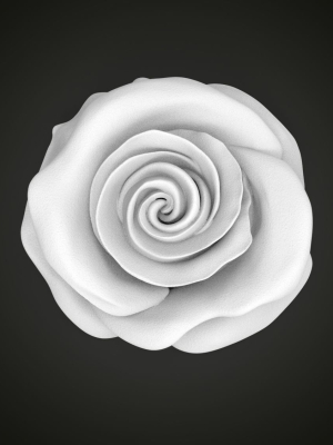 Realistic rose flower