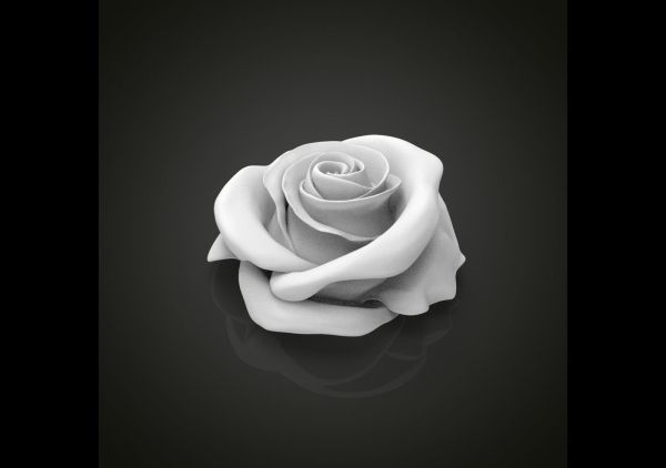 Realistic rose flower