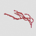 Red Grape Caulerpa single V2