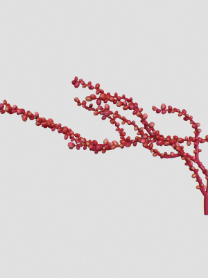 red-grape-caulerpa-single-v2-3d-model-max-obj-fbx