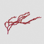 Red Grape Caulerpa single V2