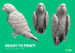 Red-lored parrot