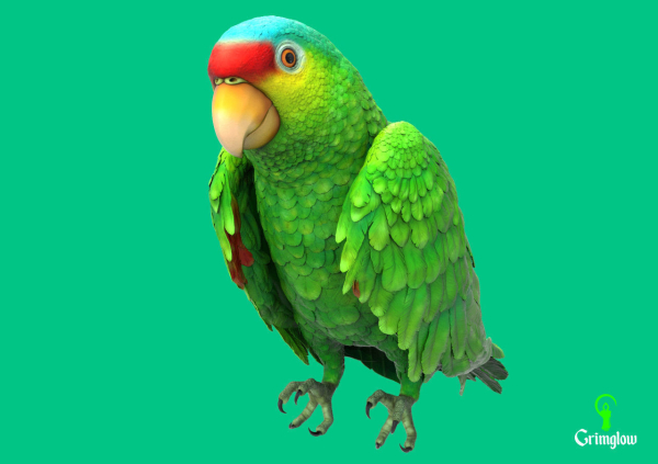Red-lored parrot