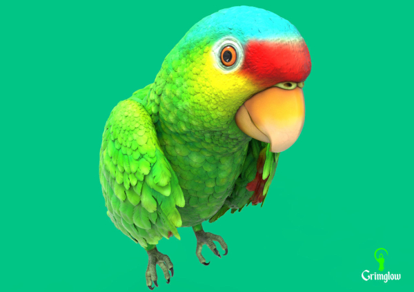 Red-lored parrot