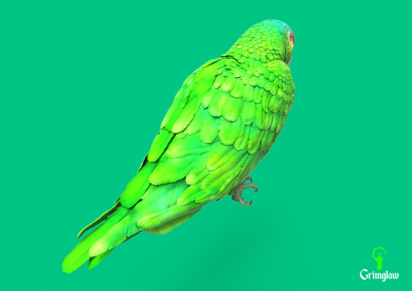 Red-lored parrot