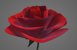 Red Rose